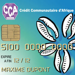 carte-bancaire1